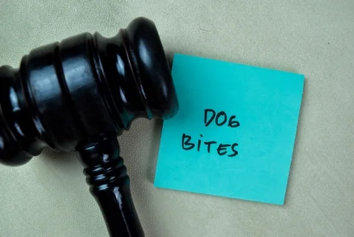 North Carolina dog bite lawyer, words dog bites with judge gavel